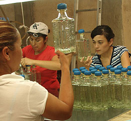 Bottling Hacienda De Oro
